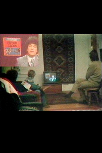 Local TV News Analysis movie poster
