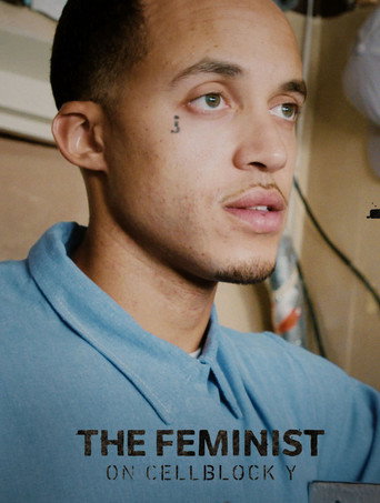 The Feminist on Cellblock Y movie poster