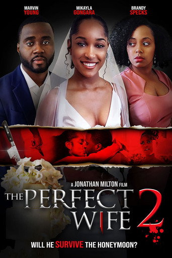 The Perfect Wife 2 movie poster