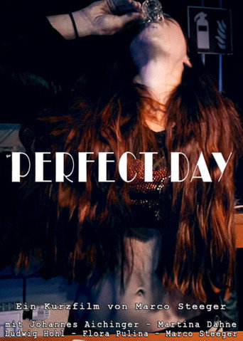 Perfect Day movie poster
