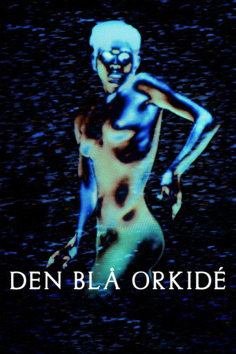 The Blue Orchid movie poster