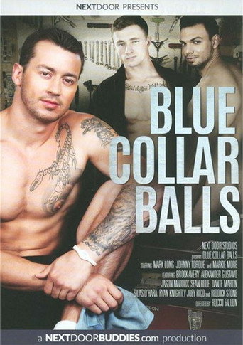 Blue Collar Balls movie poster