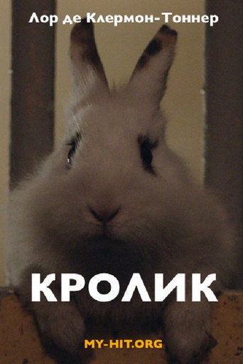 Rabbit movie poster