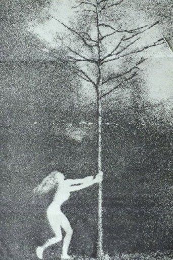 The Phallic Forest movie poster