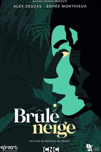 Brûlé neige movie poster