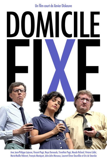 Domicile fixe movie poster