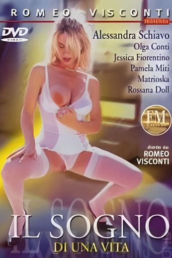 Il sogno di una vita movie poster