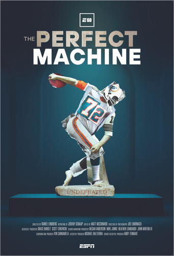 The Perfect Machine movie poster