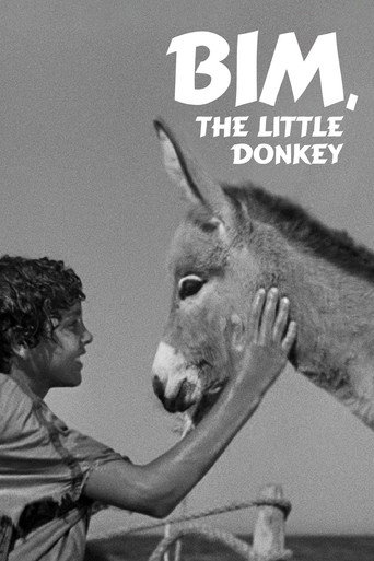 Bim, the Little Donkey movie poster