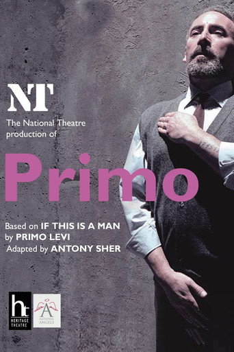 Primo movie poster