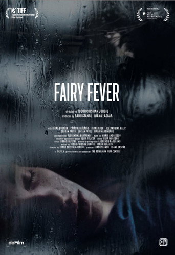 Fairy Fever movie poster