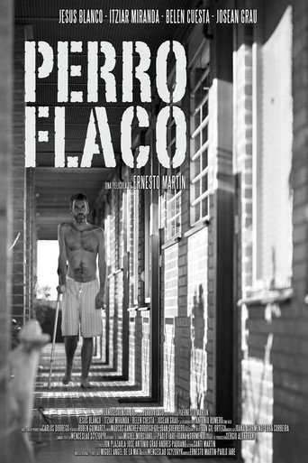 Perro flaco movie poster