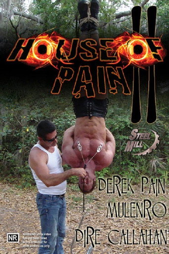 House of Pain 2 movie poster