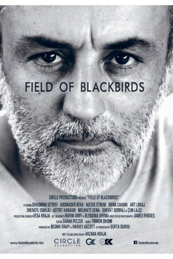 Field of Blackbirds movie poster