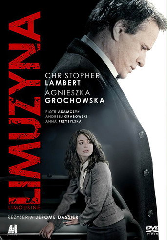 Limousine movie poster