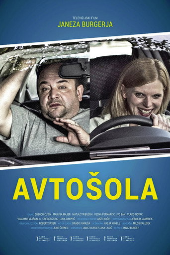 Driving School movie poster