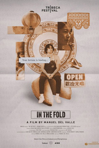 In The Fold movie poster