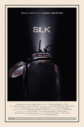 Silk movie poster