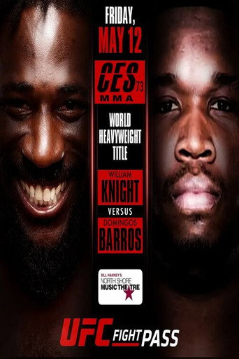 CES 73 movie poster