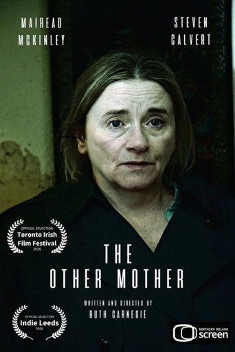 The Other Mother movie poster