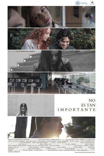 No es tan importante movie poster