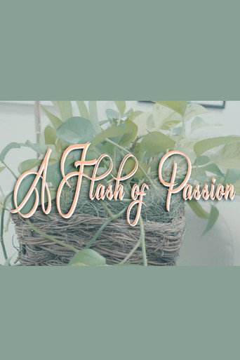 A Flash Of Passion movie poster