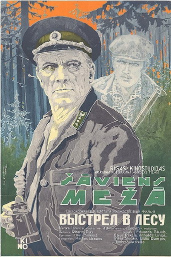 A Shot In The Forest movie poster