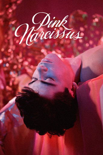 Pink Narcissus movie poster