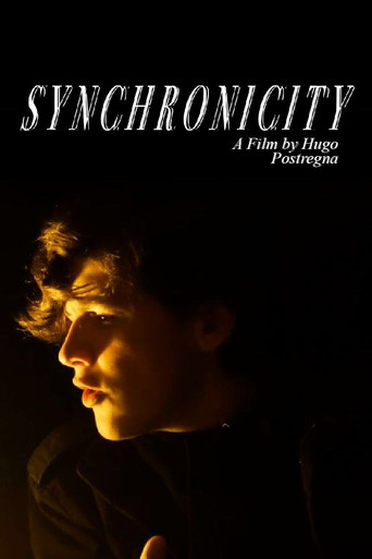 Synchronicity movie poster