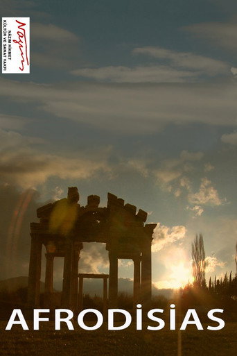 Afrodisias movie poster