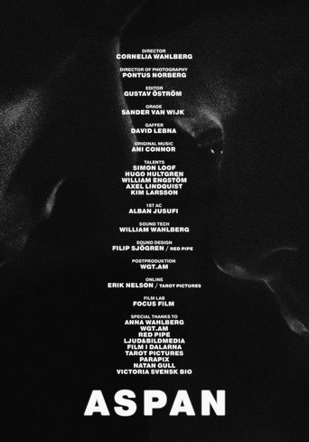 ASPAN movie poster