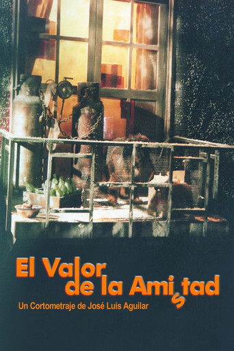 El valor de la amistad movie poster