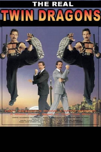 The Real Twin Dragons movie poster