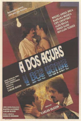 A dos aguas movie poster