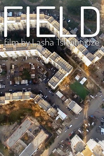 Field movie poster