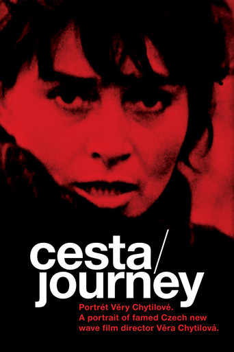 Journey: Portrait of Věra Chytilová movie poster