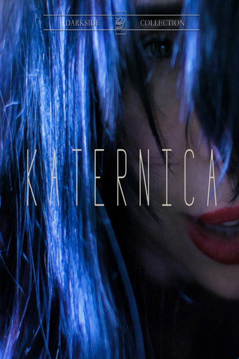 Katernica movie poster