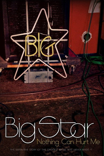 Big Star: Nothing Can Hurt Me movie poster