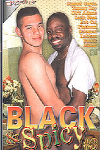 Black & Spicy 3 movie poster