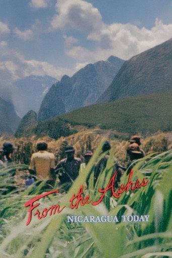 From the Ashes: Nicaragua Today movie poster