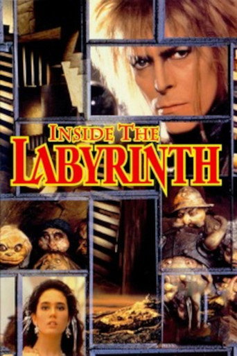 Inside the Labyrinth movie poster