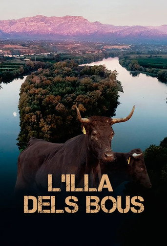 L'illa dels bous movie poster
