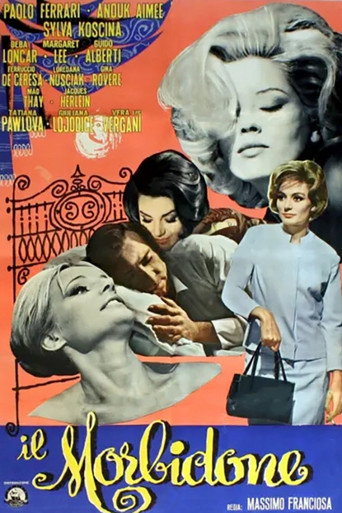 Il morbidone movie poster