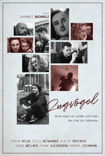 Zugvögel movie poster
