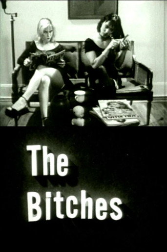 The Bitches movie poster
