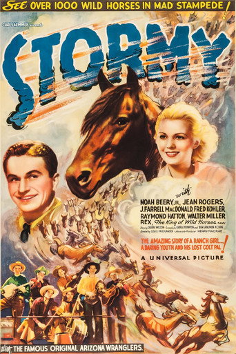 Stormy movie poster