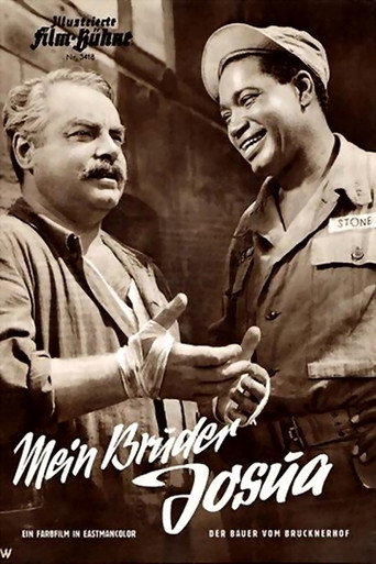 The Farmer from Brucknerhof movie poster