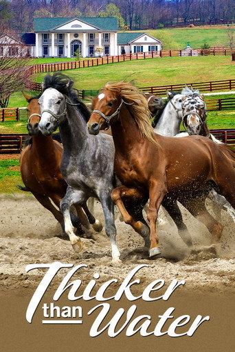 Thicker Than Water movie poster