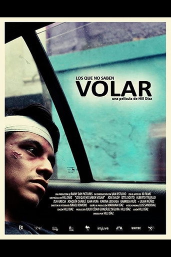Los que no saben volar movie poster