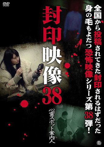 Sealed Video 38: Spirit Spot Guide movie poster